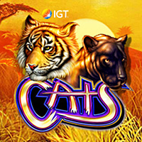 Cats