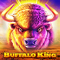 Buffalo King